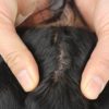 Parcial Closure silk top en Ondulado - Imagen 4